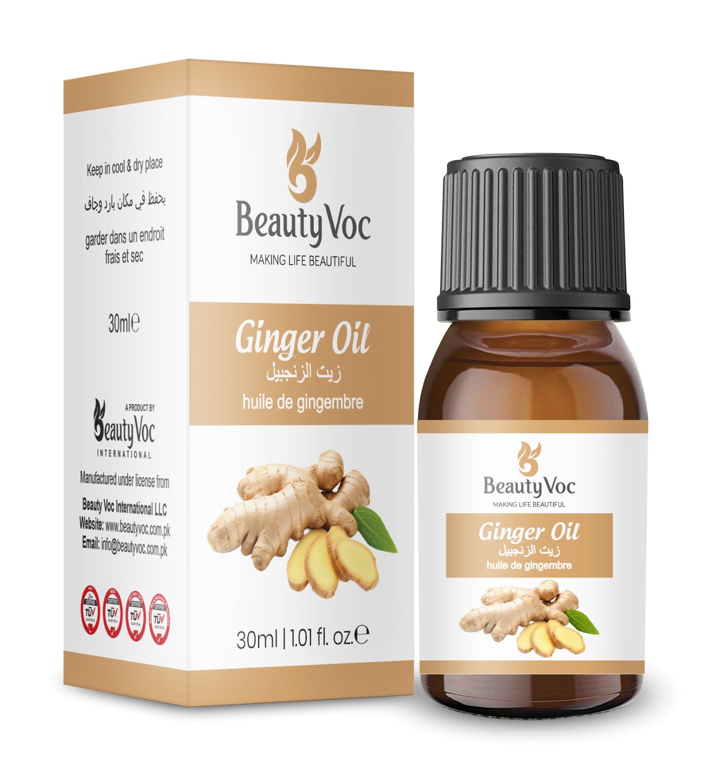 BeautyVoc Ginger Oil 30ml | 100% Pure Cold Pressed | Anti Inflammatory, Antioxidant & Antiseptic| Digestion, Pain & Respiratory Support | Mood Booster